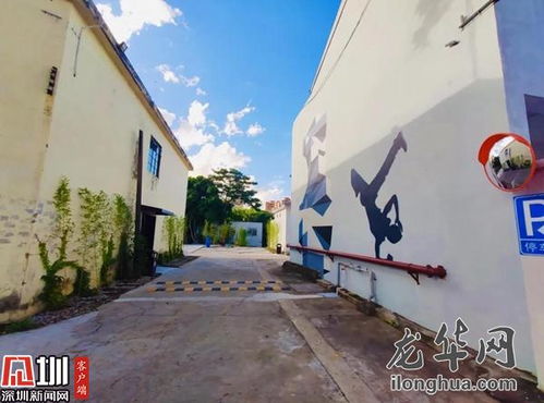 龍華發(fā)現(xiàn) 觀(guān)瀾舊廠(chǎng)房 變身 文創(chuàng)新坐標(biāo)